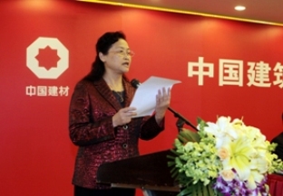姚燕总经理在中国建材集团2012年事情集会上的讲话
